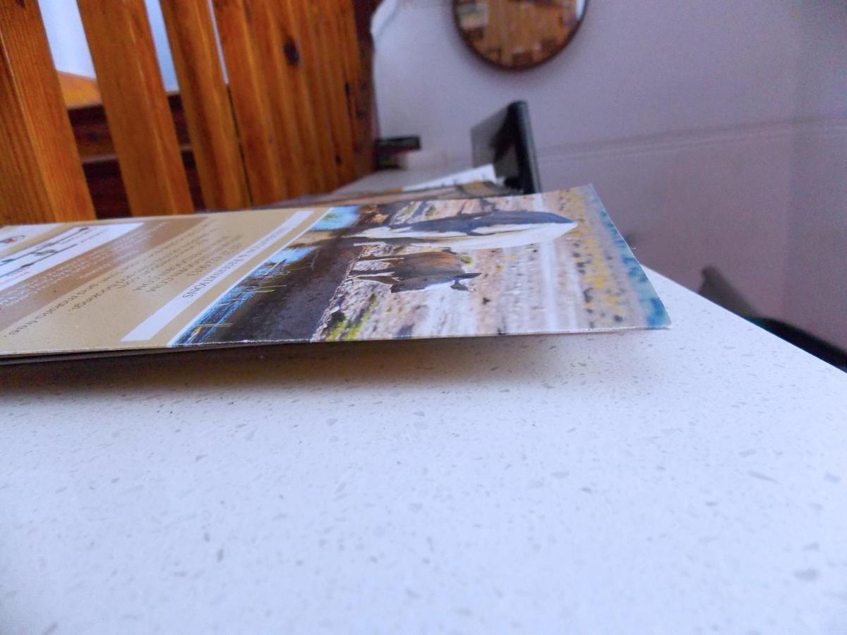 Albergue Trap Houz Backpackers Ciudad del Cabo Exterior foto